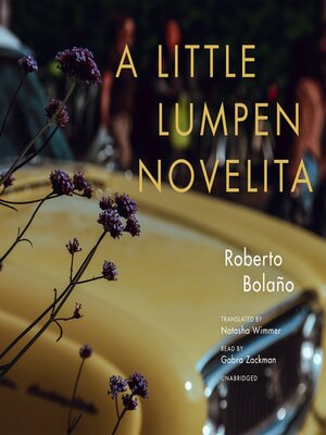 cover image of A Little Lumpen Novelita